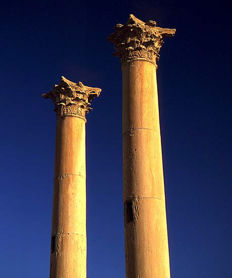 Erect Cointhian columns