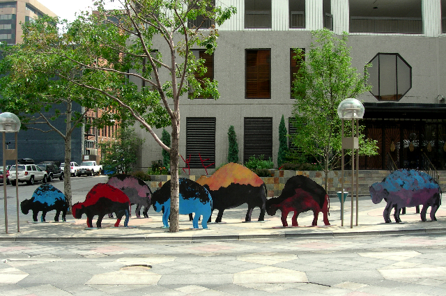 Where the Buffalo roam