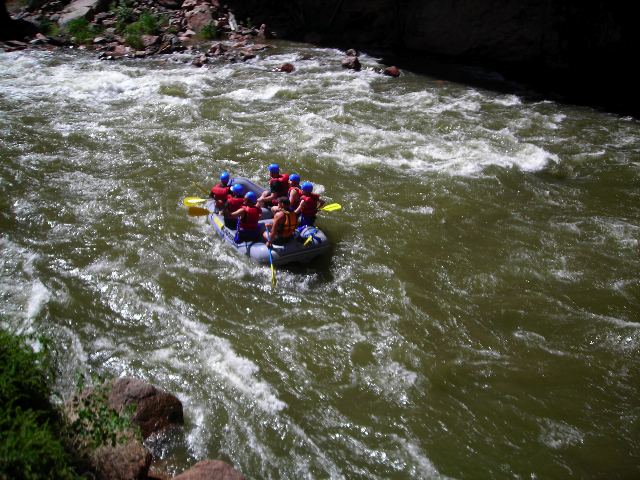 Row, row, row your boat