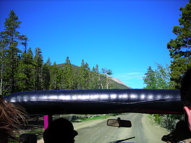 View from the back seat